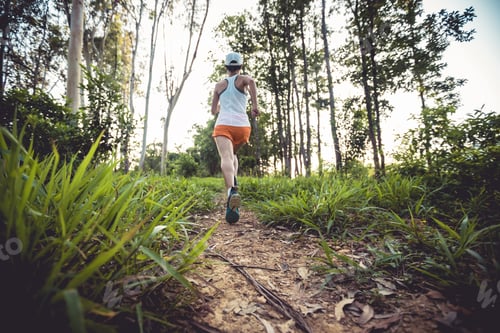 Preview: Trail runner running in summer forest trail