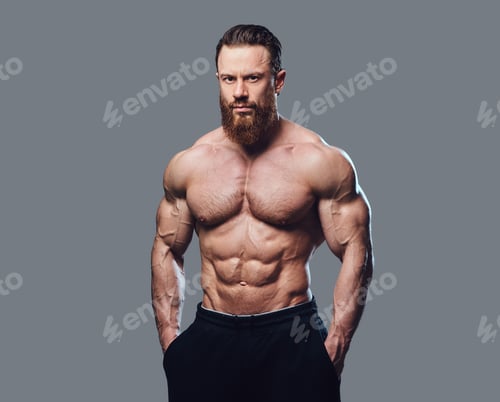 Preview: Portrait of bearded shirtless bodybuilder.