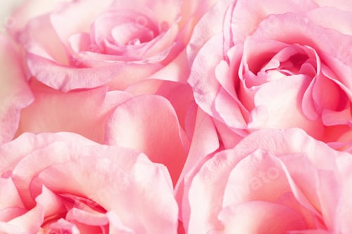 Preview: Flower