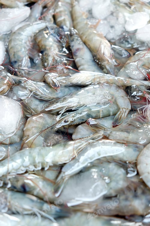 Preview: Close up image of Fresh shrimp
