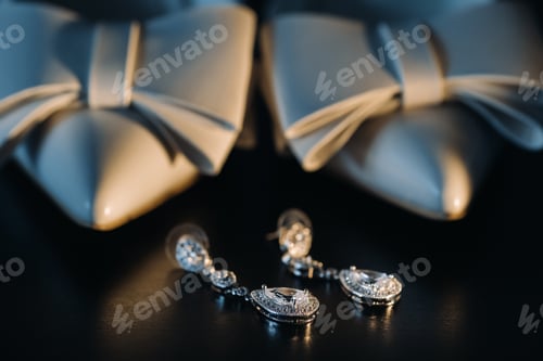Preview: Accessories for the bride. Wedding Earrings on a black background