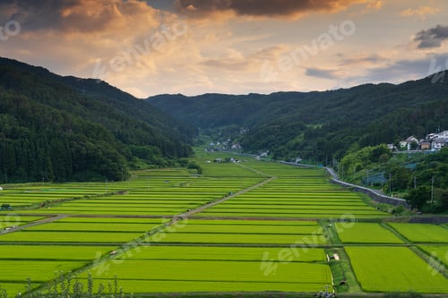 Preview: Nagano Prefecture, Japan Rice Terrace