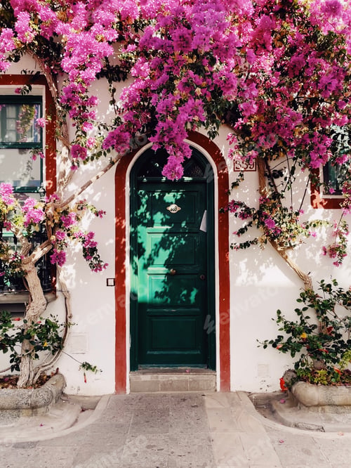 Preview: Beautiful green front door on the white wall with pink purple and fuchsia coloured climbing flowers