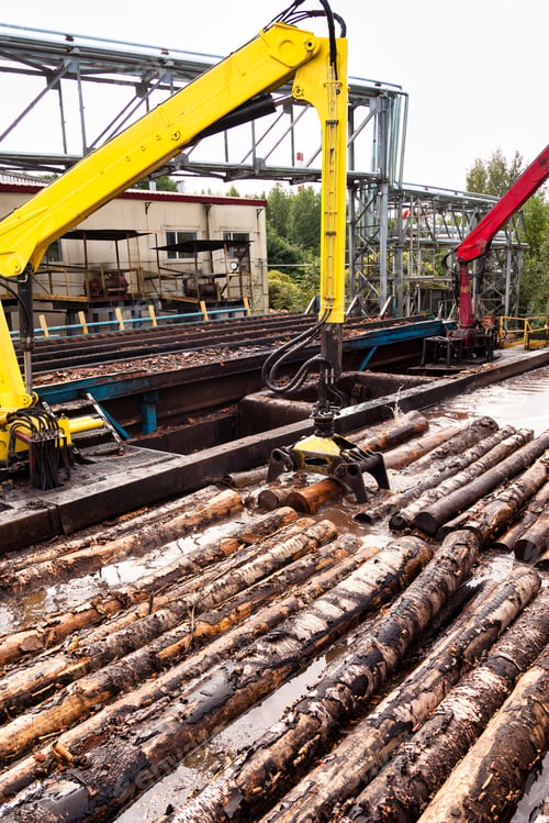 Preview: Harvester log loader lifting up logs from hot water in manufacture plant, treatment proces