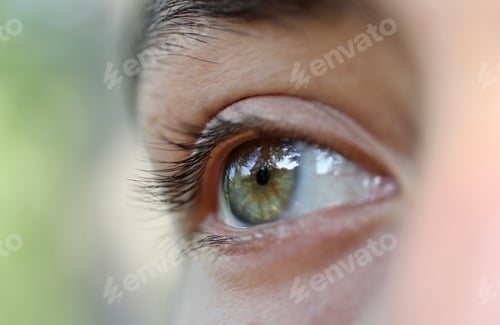 Preview: “The Eyes are the window to your soul” William Shakespeare. Expressive green eye closeup