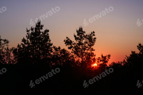 Preview: sunset through the trees