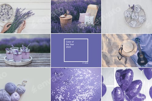 Creative inspirational collage of nine pictures toned in trendy purple color. Color of 2022.