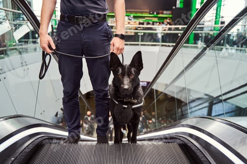 Preview: Security officer with police dog using escalator at airport