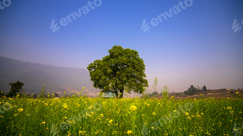 Preview: Nature landscape
