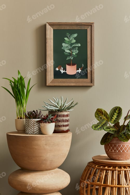 Preview: Stylish botany composition of home garden interior