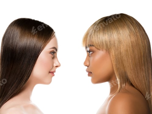 Preview: African caucasian beauty women two portrait. Clean skin ethnic concept