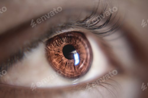 Preview: Macro shot of a beautiful brown eye with long eyelashes
