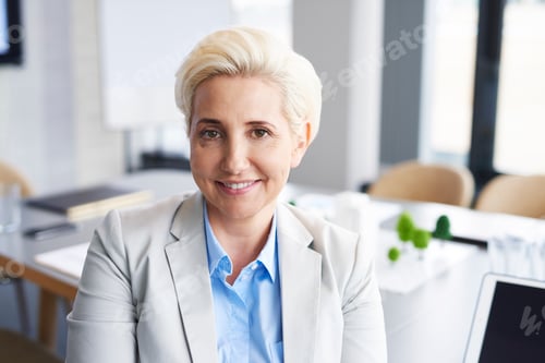 Preview: Portrait of confident businesswoman in the office