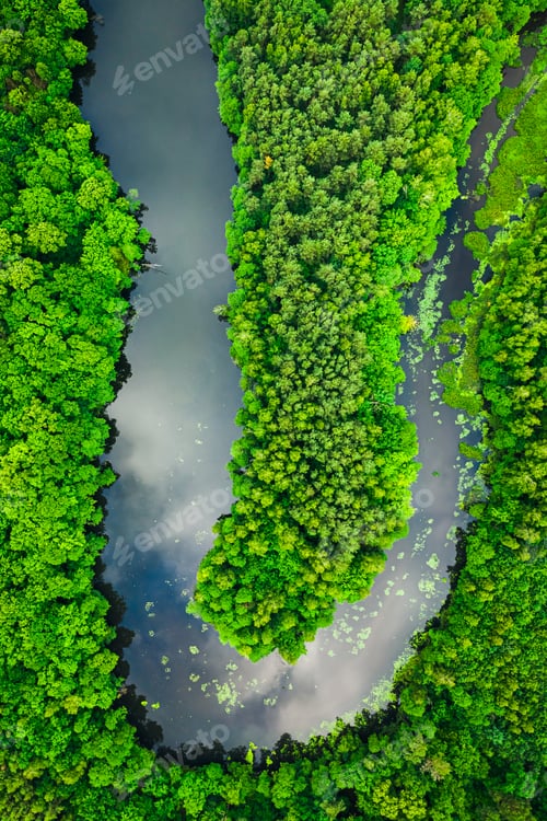 Preview: Flying above river and green algae in summer.