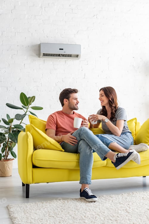 Preview: handsome man with pretty girlfriend holding cups while sitting on sofa under air conditioner at home