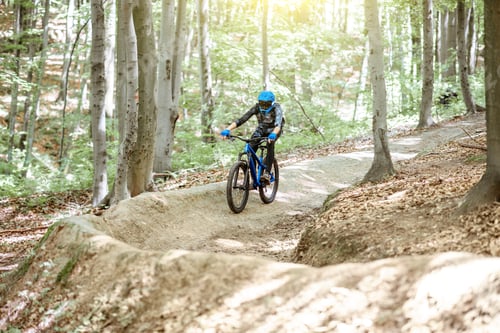 Preview: Cyclist riding on the forest track