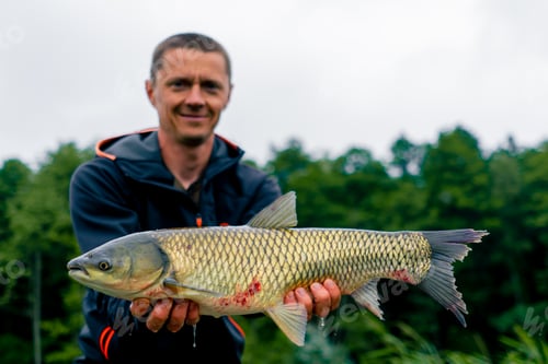 Preview: satisfied professional fisherman holding a carp on bank of a river fishing in a pond with good catch