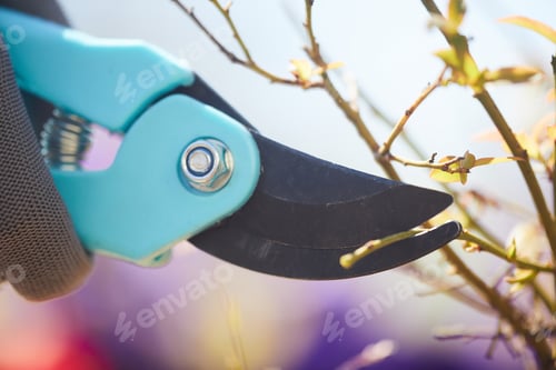 Preview: Garden Clippers Cutting Plants Close Up