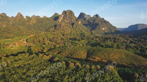 Preview: Aerial view from drone of the forest and mountains views