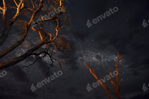 Preview: Under the trees. Majestic view of clear sky with stars and Milky Way in the space