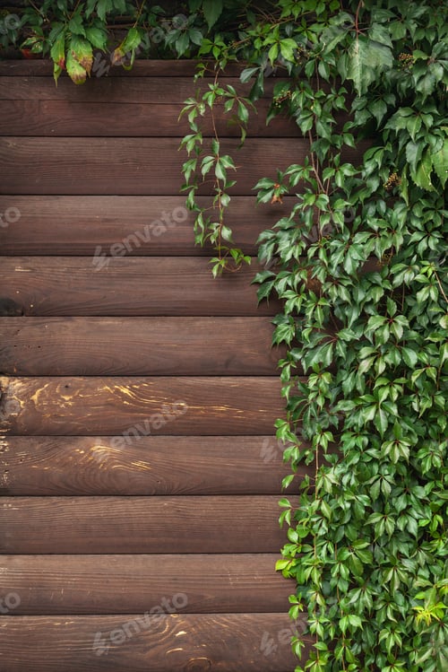Preview: Autumn green leaves over wooden background.