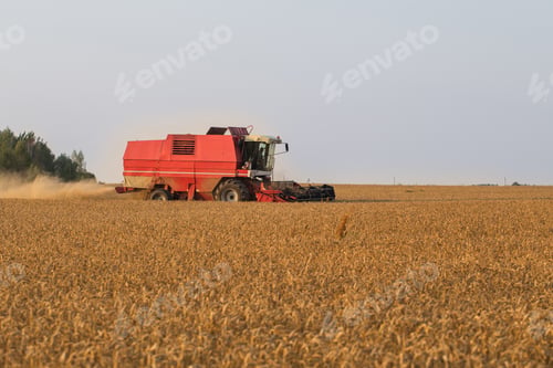 Preview: Harvester in wheat field