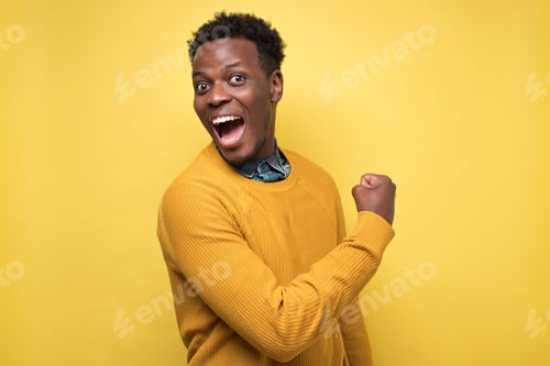 Preview: Happy successful african american young student showing fist