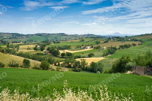 Preview: Rural landscape near Corinaldo and Ostra Vetere, Marche, Italy