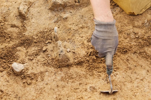 Preview: Archeological tools, Archeologist working on site, hand and tool.