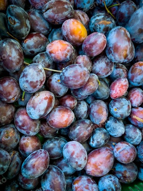 Preview: fresh ripe plums as background