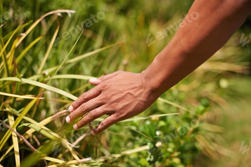 Preview: Relaxing in nature. Shot of a mans hand touch blades of grass.
