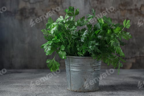 Preview: Bunch of parsley in a metal bowl. copy space
