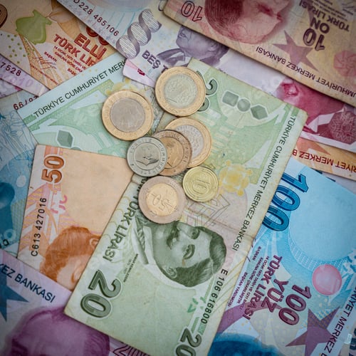 Preview: Various Turkish Lira Banknotes And Coins. Turkish Money