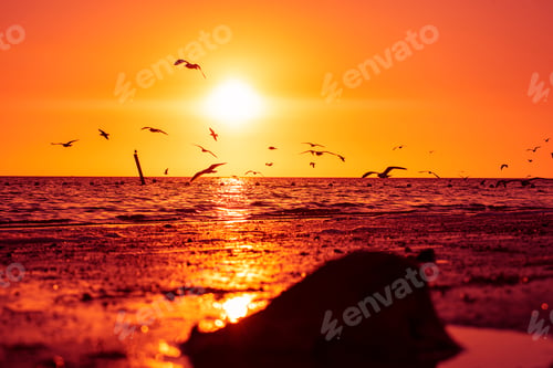 Preview: Sun setting over the ocean with birds and beach, filling the scene with red and orange lighting