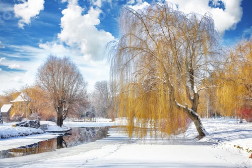 Aperçu: Stunning landscape with snowy trees, beautiful frozen river with reflection in water.