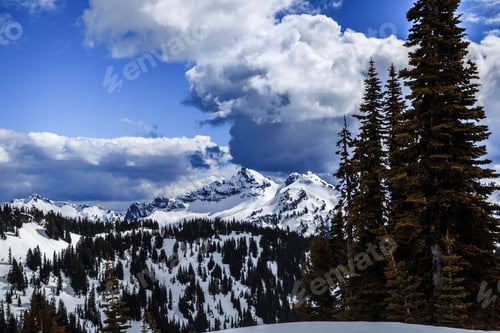 Preview: Mt. Rainier Winter Mountain View, Mt. Rainier National Park Washington