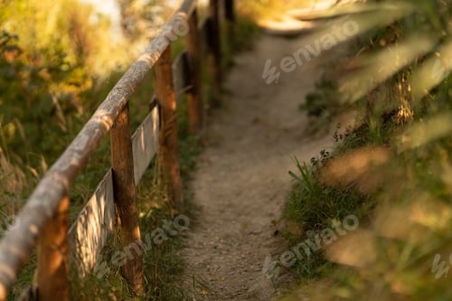 Preview: Wood fence in nature
