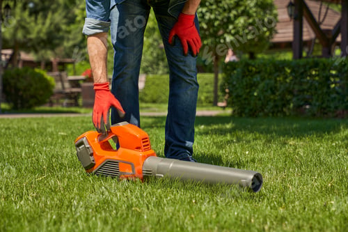 Preview: Modern leaf blower, powerful equipment for cleaning up leaf litters lying on lawn.