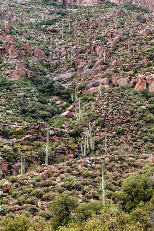 Preview: Landscape in Arizona, beauty in nature, rocky hill
