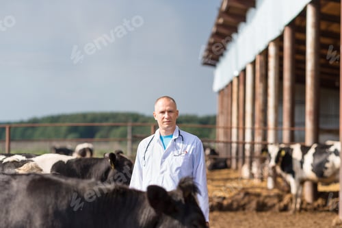 Preview: Veterinarian In A White Robe On Cattle Farm