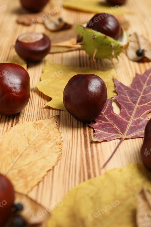 Preview: Brown chestnut fruits with yellow leaves on a wooden background