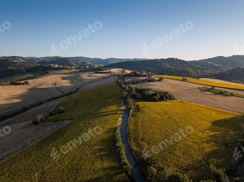 Preview: Breathtaking aerial shot of sunny green land with a highway in the middle with a blue sky on horizon