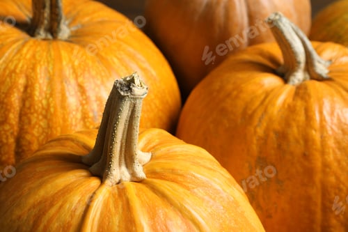 Preview: Many orange pumpkins as background, closeup. Autumn holidays
