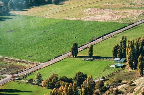 Preview: Rural highway road cut through the farmland of villagers on suburban in autumn