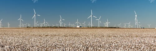 Preview: Wind Turbines Alternative Energy Texas Cotton Field Agriculture