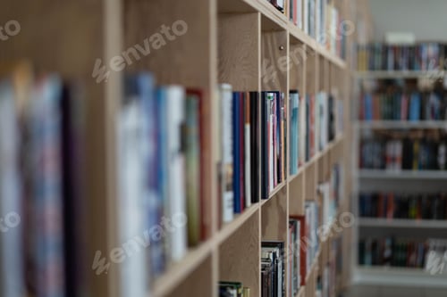 Preview: Bookcase in a bookstore or public library.