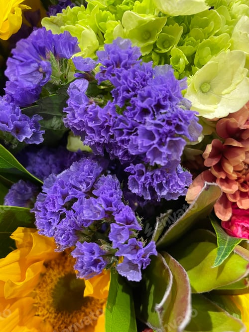 Preview: Flowers