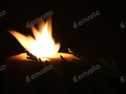Preview: Candle Flickering With Pine Branch - Photograph Of A Burning Candle With A Flickering Flame And A