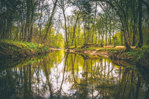Preview: Reflections In The Patowmack Canal At Great Falls Park, Virginia.