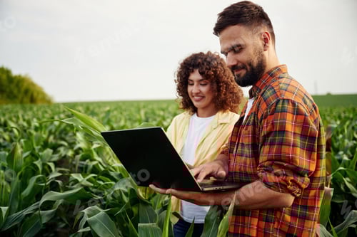 Preview: Checking the data on the laptop. Man and woman are on the corn agricultural field